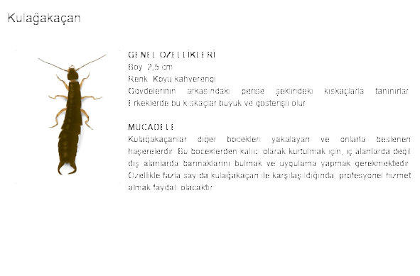 1d5f8233710061730a4a4d8d0145fdab412942708