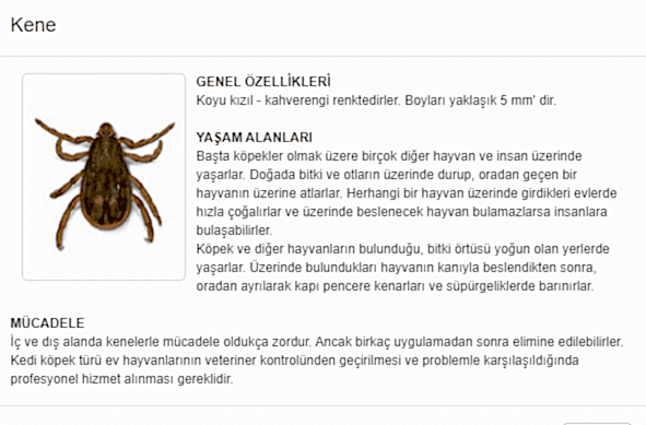 4ceadef54d5a21e7f2069ab1de2ee378425936235