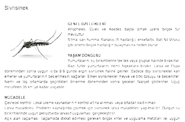 6f08cbb81577be84c86847dfc75a29091734300670