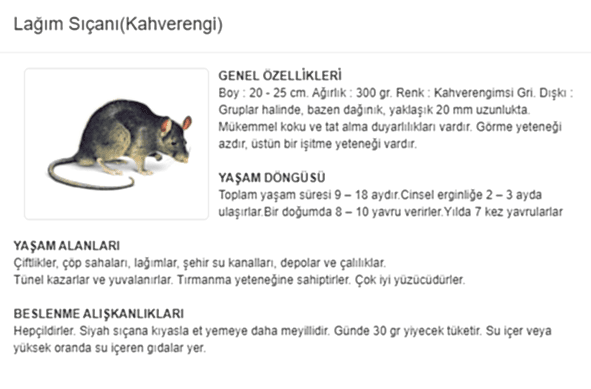 b1cfead2965b32f6ad1adb2ab48accb61638172883